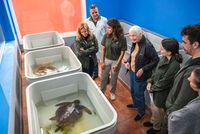 Los Cabildos de Tenerife y Gran Canaria lideran una red transnacional para proteger la fauna silvestre y los océanos